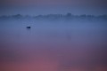 brume 1 leger